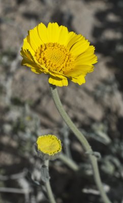 DSC_0120a