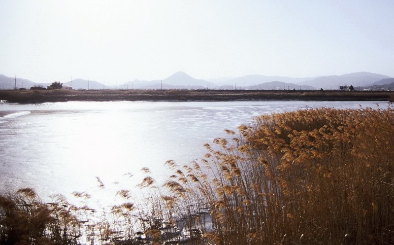 Suncheon Bay