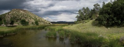 New Mexico