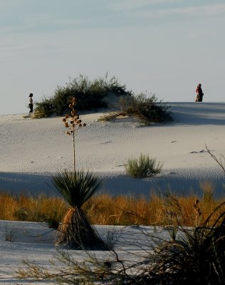 white_sands