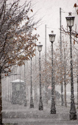 snow__rome