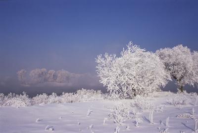 heilongjiangphoto