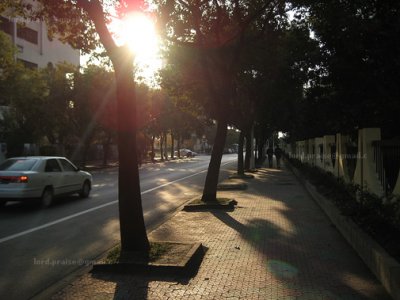 g3/82/103982/3/89553049.fLDJ7VJS.jpg