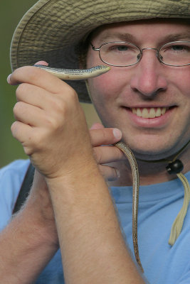 Slender Glass Lizard