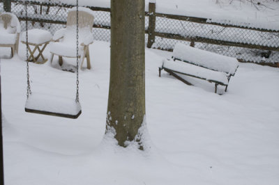 WEB-sizes-Tree--Swing-Snow.jpg