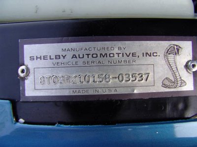 shelbytag.jpg