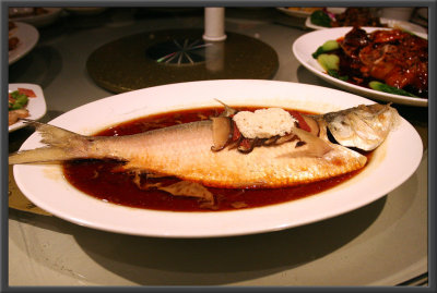 Steam Yangszi Fish  118Ԫ