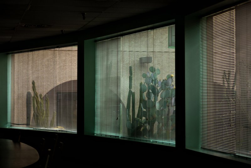 Ghosts, The Westward Ho, Phoenix, Arizona, 2010