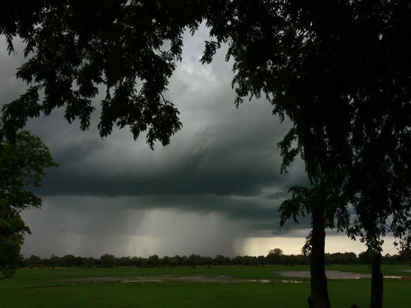 Summer storm, South Luangwa National Park, Zambia, 2006