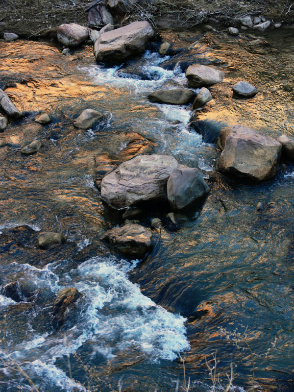 Rocky Water, Virgin River, Zion National Park, Utah, 2006