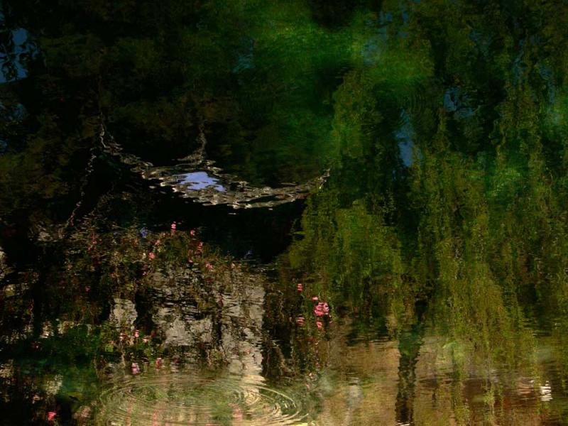 Pond, Shuhe, China, 2006