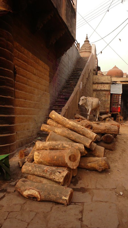 Cremation logs, Varanasi, India, 2008