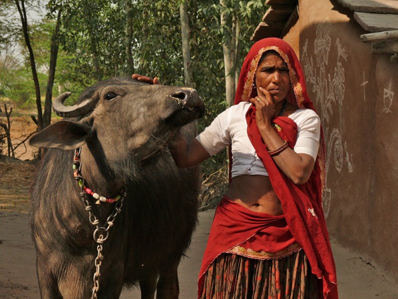 Woman and water buffalo, Abhangri, India, 2008