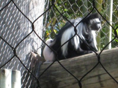 IMG_2768.JPG