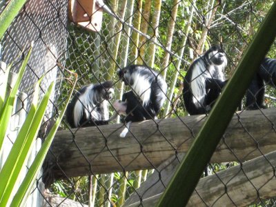 IMG_2769.JPG