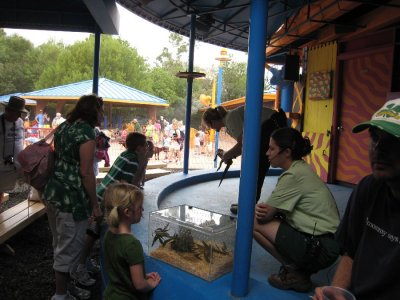 IMG_2868.JPG