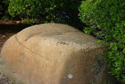 IMG_0298.JPG