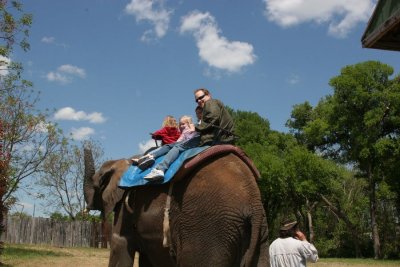 IMG_8260.JPG