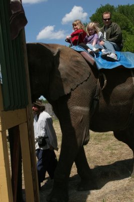 IMG_8264.JPG