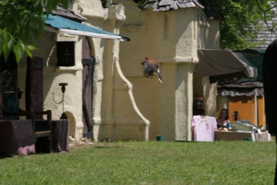 IMG_8277.JPG