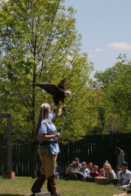 IMG_8285.JPG