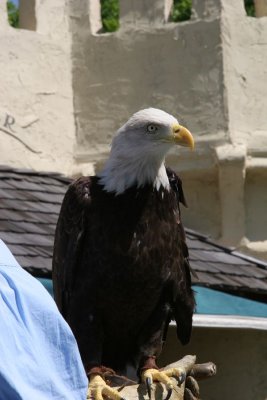IMG_8293.JPG