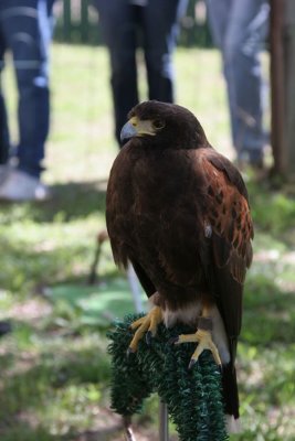 IMG_8297.JPG