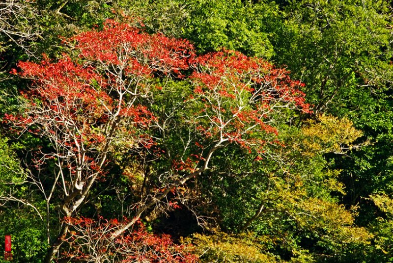 DSC_5864.jpg