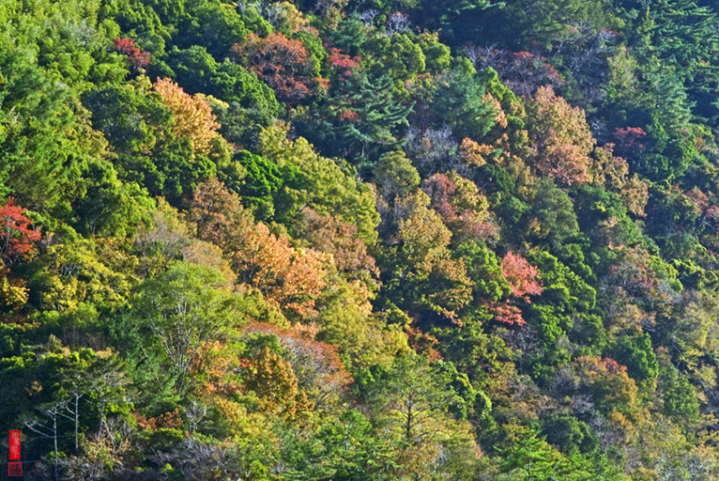 DSC_5867.jpg