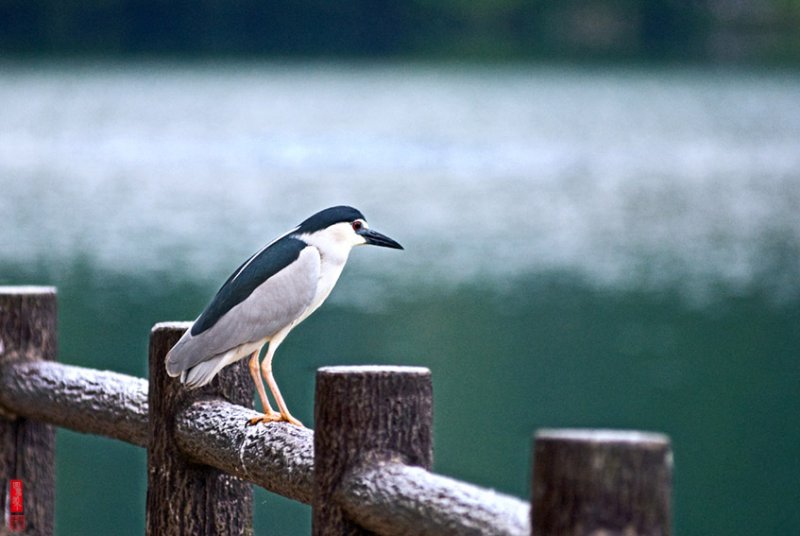 DSC_8475.jpg