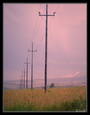 PICT0107.jpg
