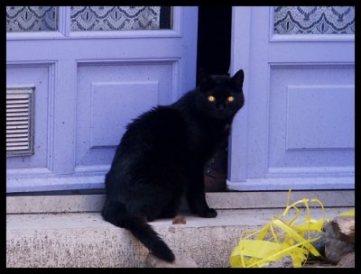 PICT0074.jpg