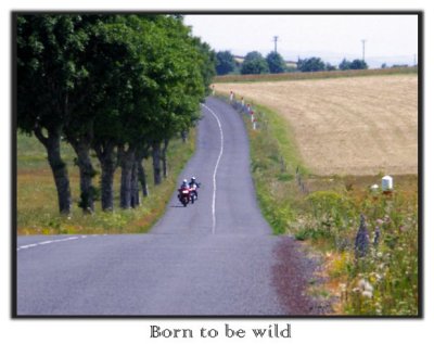 Born to be wild