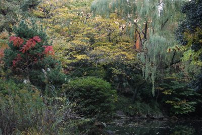 Sanshiro Pond