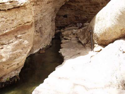 Well Outlet