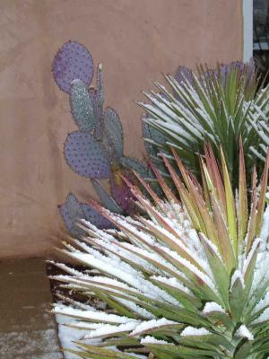Uptown Sedona