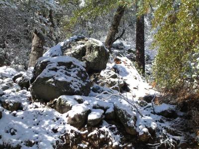 Oak Creek Canyon Drive (Rte 89A)