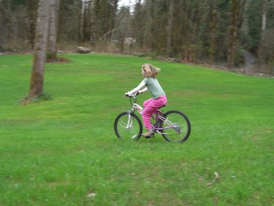 Shelby Riding On the Newly Cleared Area