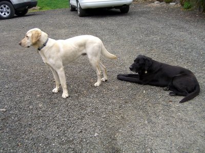 Two of the Gang of Four