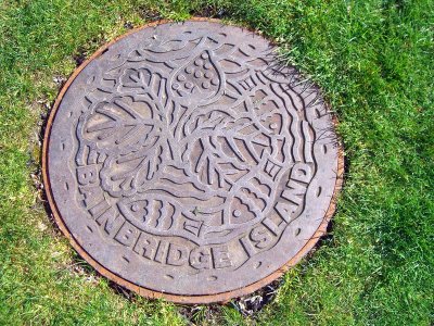 Cool Man Hole or Should I be PC and Call it a Person Hole Cover