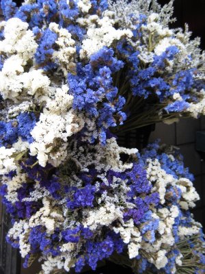 Great Colors