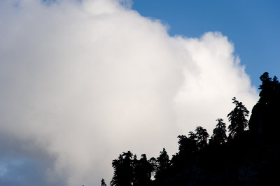 DSC_0246_WEB.jpg