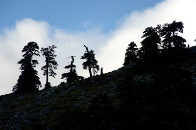 DSC_0253_WEB.jpg
