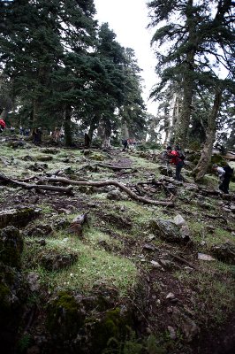 DSC_0257_WEB.jpg