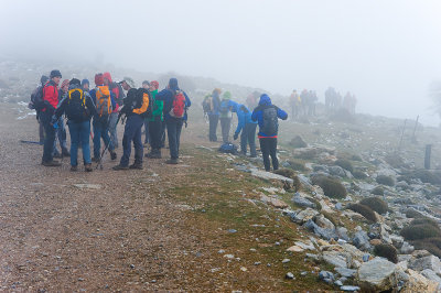 DSC_0264_WEB.jpg