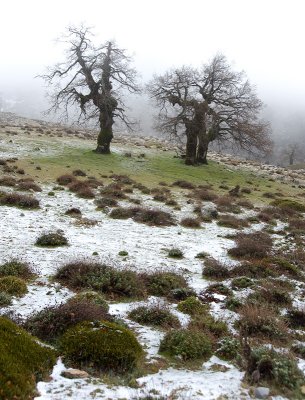 DSC_0266_WEB.jpg