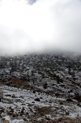 DSC_0284_WEB.jpg