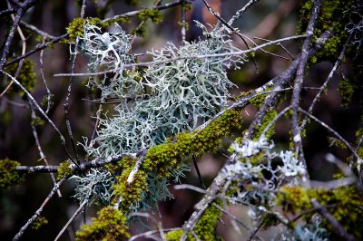 DSC_0369_WEB.jpg