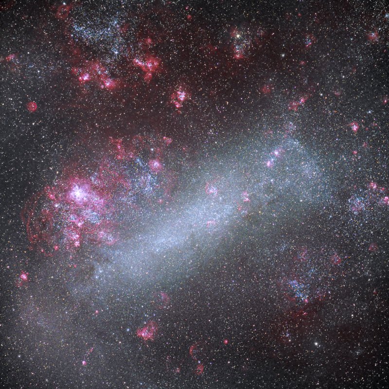 The Large Magellanic Cloud