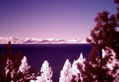 Lake Tahoe California infrared colour composite smaller.jpg